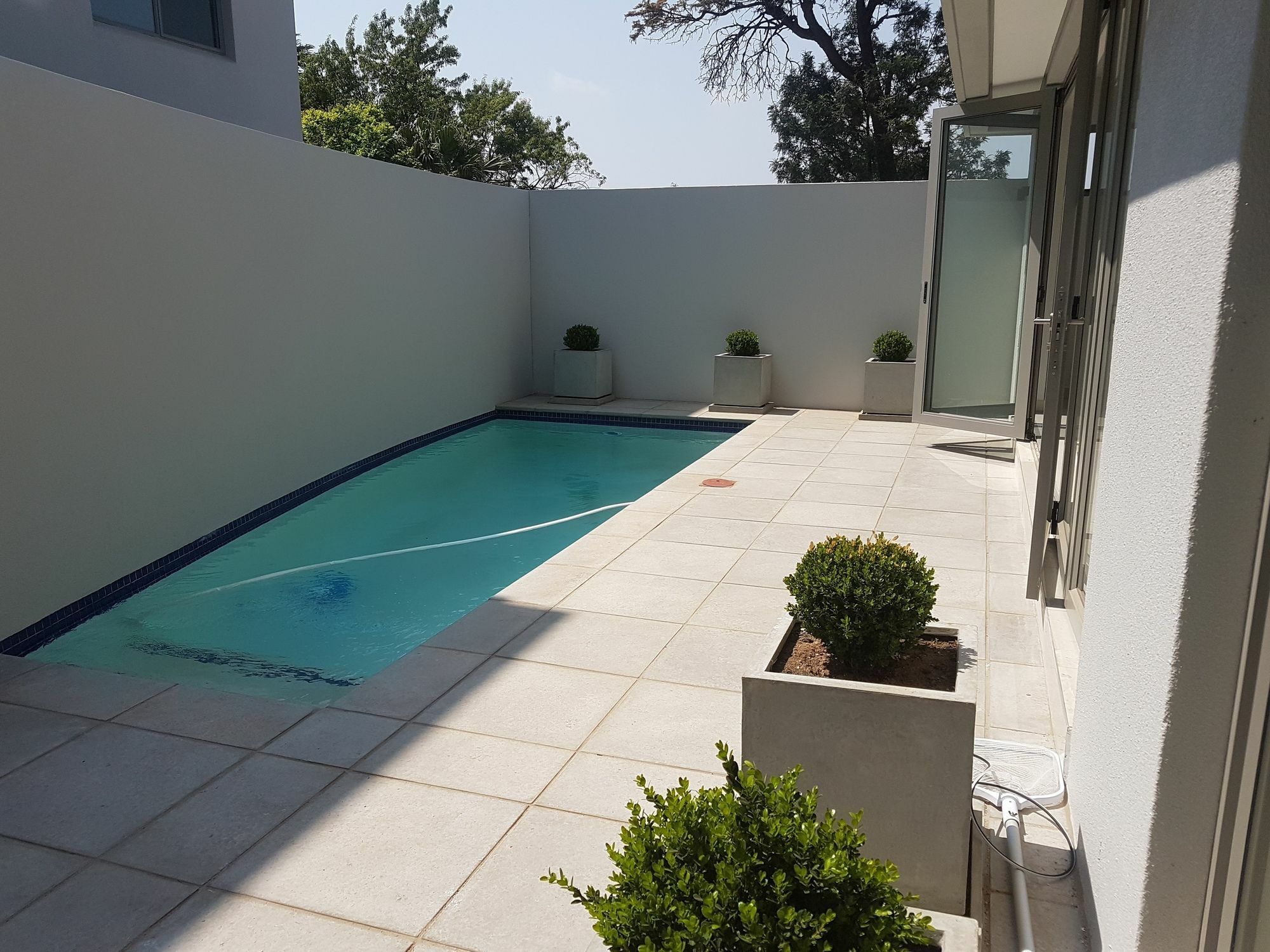Daisy Place Johannesburg Bagian luar foto